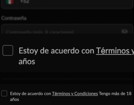 Acepta los términos y finaliza: