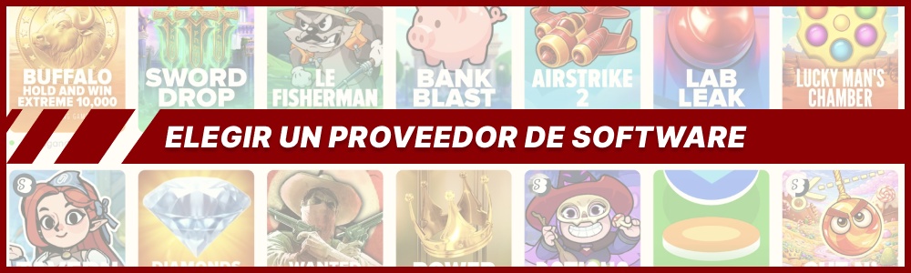 elegir un proveedor de software