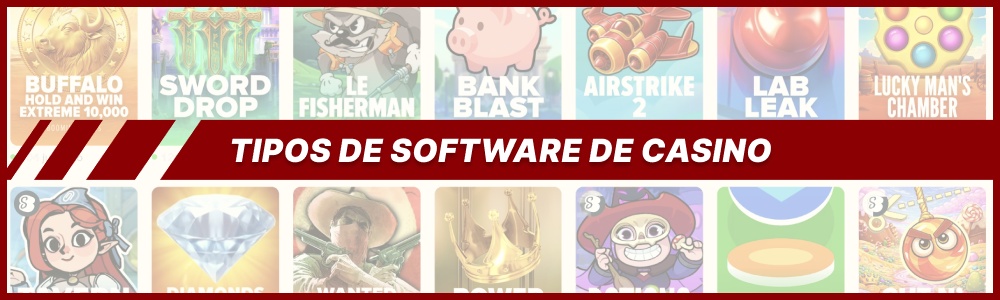 tipos de software de casino