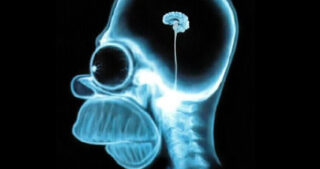 homer brain